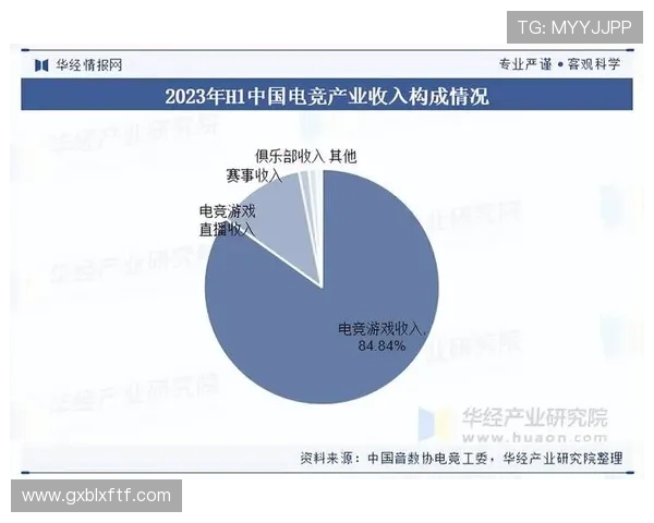 聚焦电竞职业联赛探讨数字竞技产业发展与青年文化融合趋势