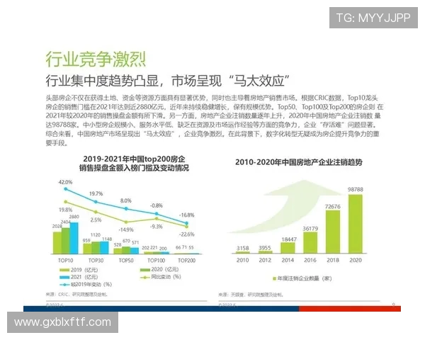 IG与AL之争：技术革新背后的深层对比与未来发展趋势分析