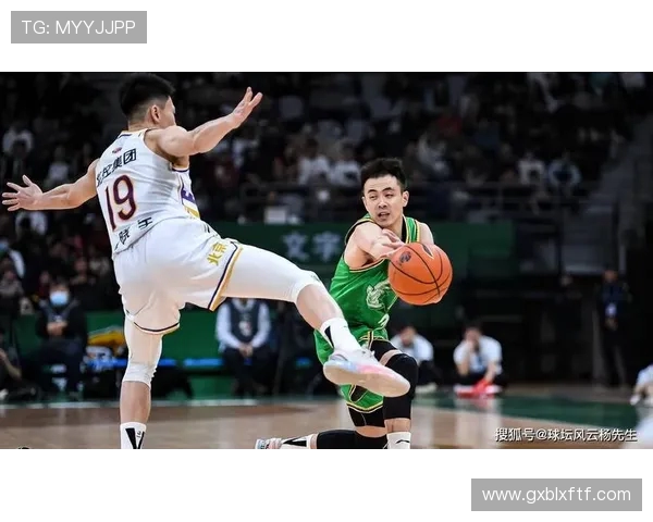 27轮辽宁对阵山东精彩比赛录像回顾与分析