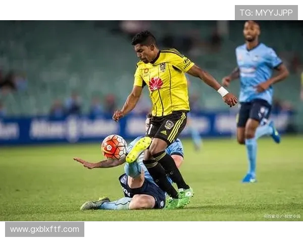 中央海岸对惠灵顿精彩直播全程回顾与赛后分析